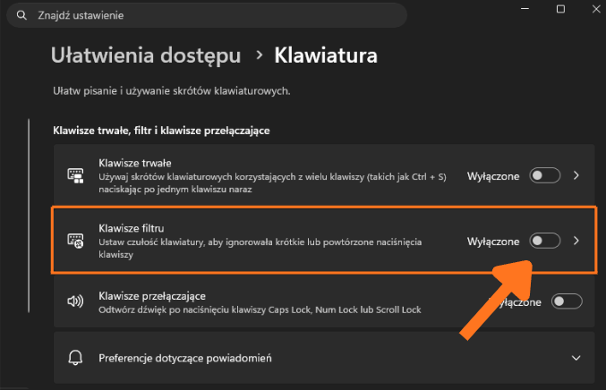 Ustawienia klawiatury i Klawiszy filtru w systemie Windows 11